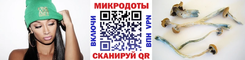 Псилоцибиновые грибы GOLDEN TEACHER  Аша 