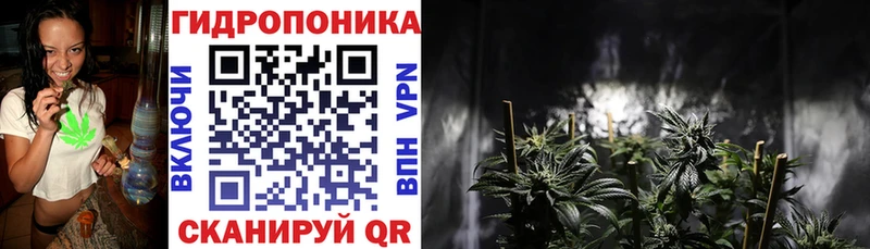 Каннабис VHQ Аша